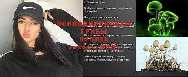 бутират Алексин