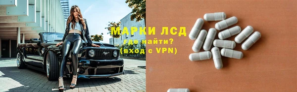 прущий лед Алзамай