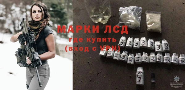прущий лед Алзамай
