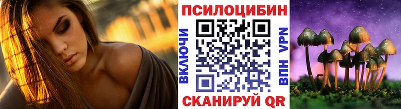 дарк нет наркотические препараты  Чадан  Галлюциногенные грибы Cubensis 