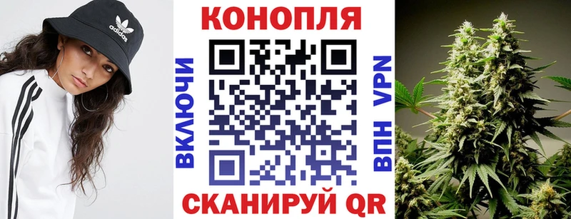 что такое   Чадан  Шишки марихуана сатива 